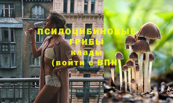 молекула духа Аркадак