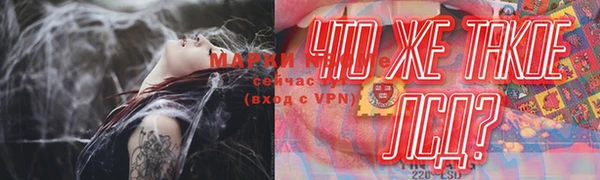 экстази Арсеньев