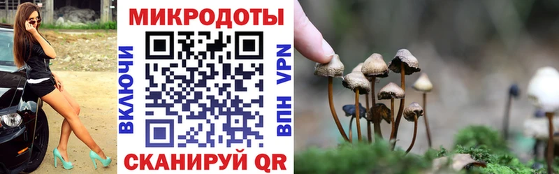 Купить закладки  Белоозёрский  Псилоцибиновые грибы Psilocybe 